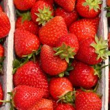 Beaucoup de fruits ont souffert du temps humide de cette année, en particulier les fraises. (Photo d'archives) KEYSTONE/DPA/PATRICK PLEUL
